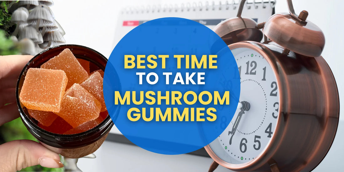 Best Time to Take Mushroom Gummies: Unlocking Maximum Benefits