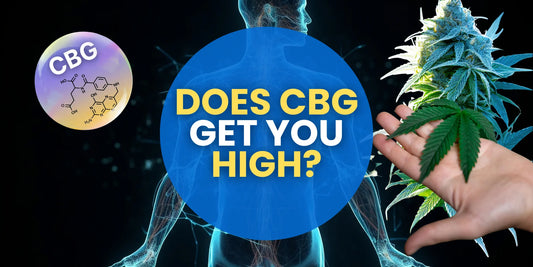 Does CBG Get You High? Understanding the Effects of Cannabigerol