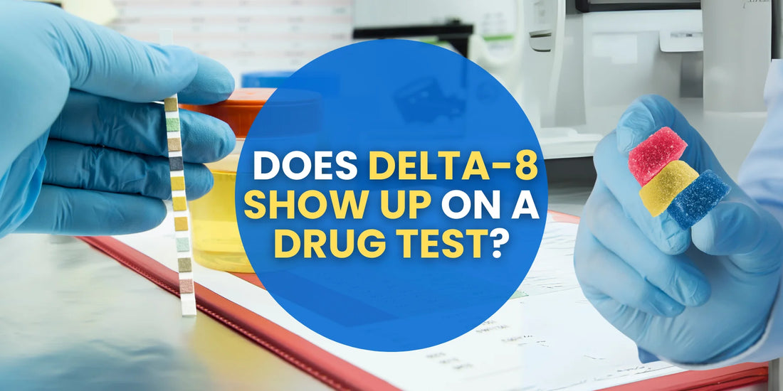 Does Delta 8 Show Up on a Drug Test?