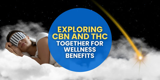 Exploring CBN and THC Together for Wellness Benefits