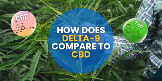 How Does Delta-9 Compare To CBD