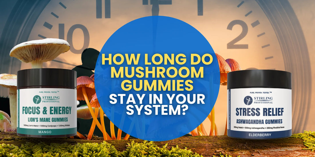 Understanding How Long Mushroom Gummies Stay in Your System