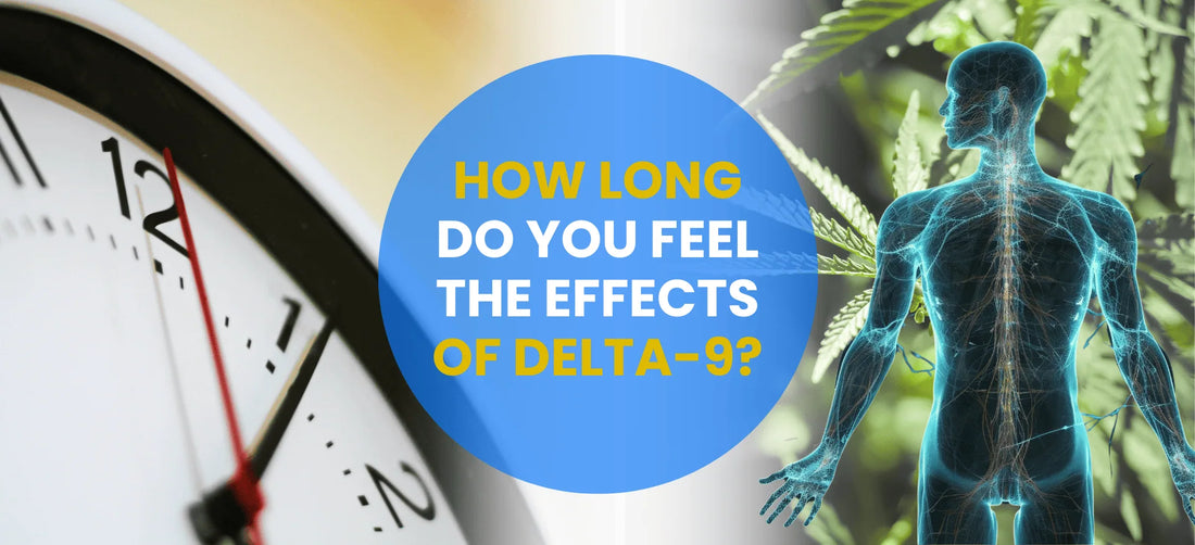 How Long Do You Feel the Effects of Delta-9?