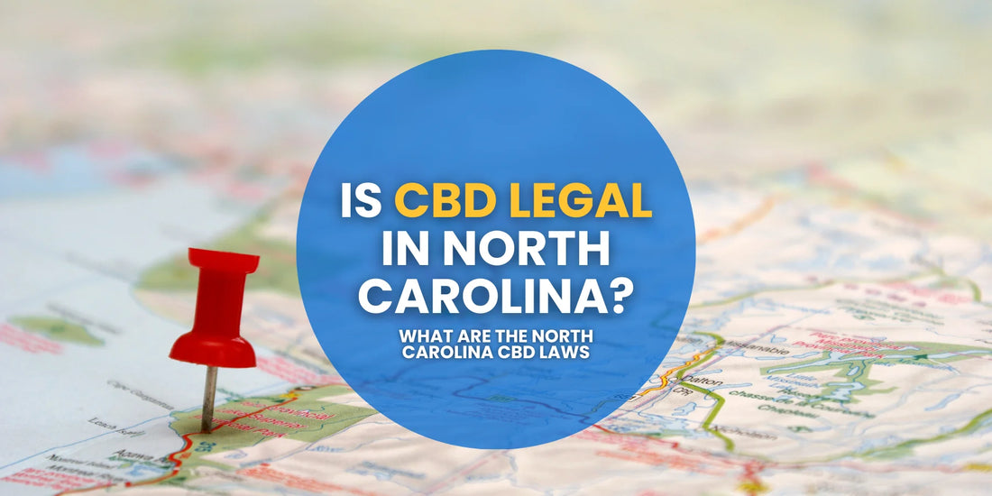 Is CBD Legal In North Carolina? Updated for 2024 Laws