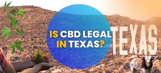 Is CBD Legal in Texas? CBD Laws for 2025