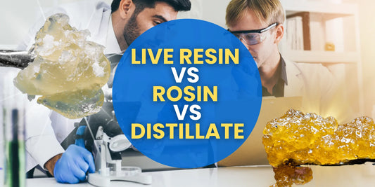 Live Resin vs Rosin vs Distillate: Which One’s Right for You?
