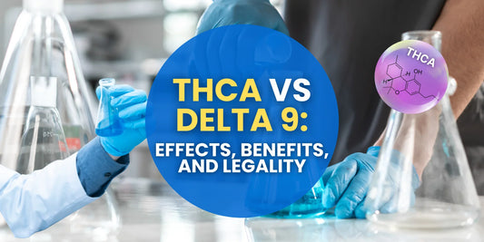 Exploring THCA vs Delta 9: Effects, Benefits, and Legality