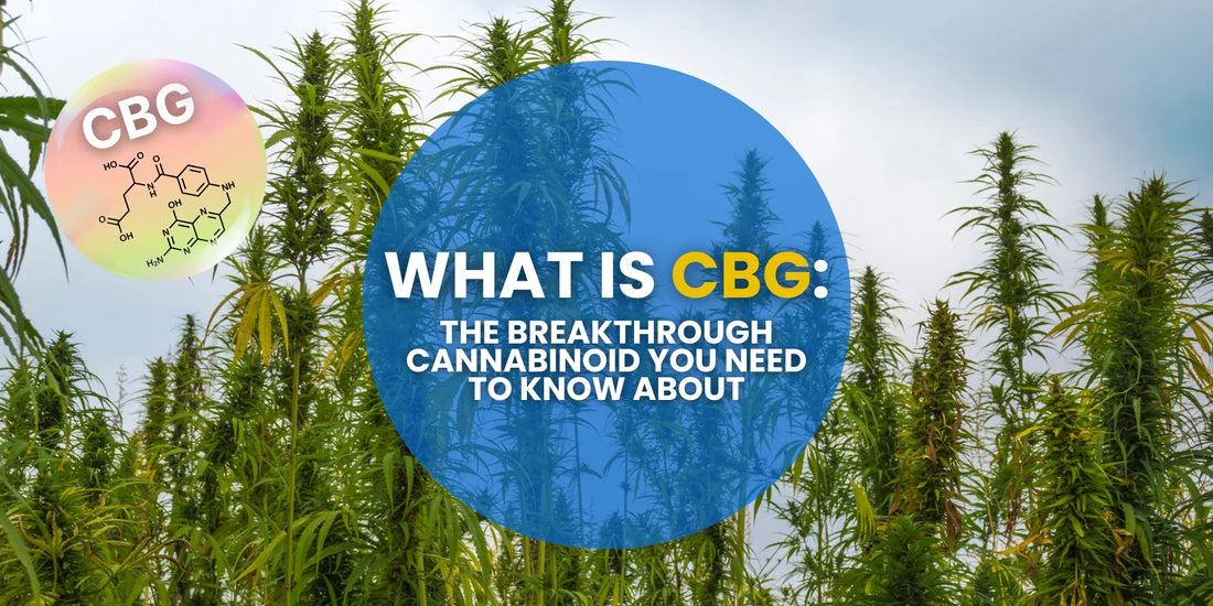 What Is CBG: The Breakthrough Cannabinoid You Need to Know About