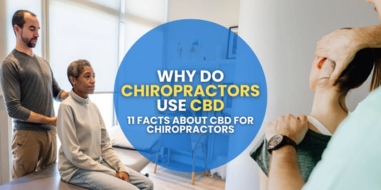 Why Do Chiropractors Use CBD: 11 Facts About CBD For Chiropractors