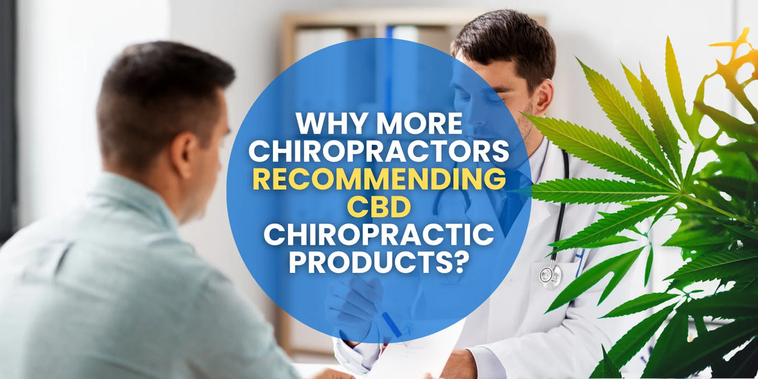 Why More Chiropractors Recommending CBD Chiropractic Products?
