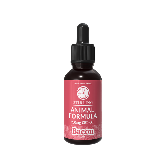 CBD Oil for Dogs