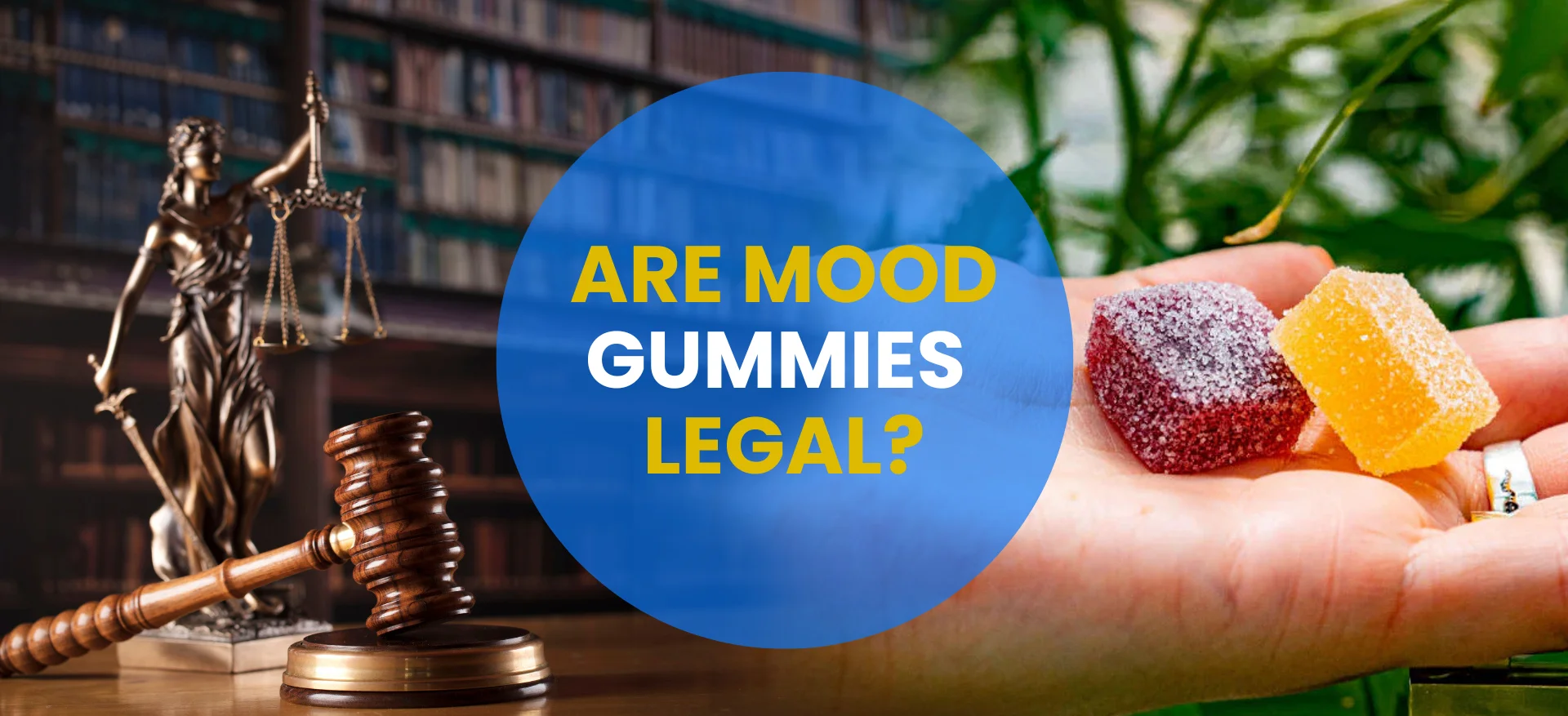 Are Mood-Enhancing Gummies Legal?