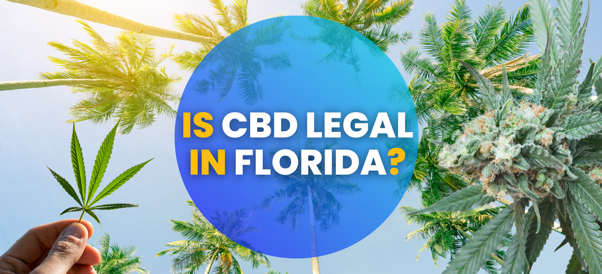 Is CBD Legal in Florida? An Update of CBD Laws 2025
