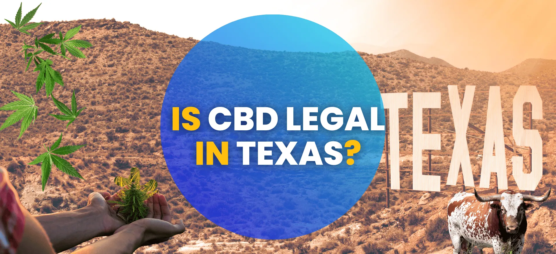 Is CBD Legal in Texas? CBD Laws for 2025