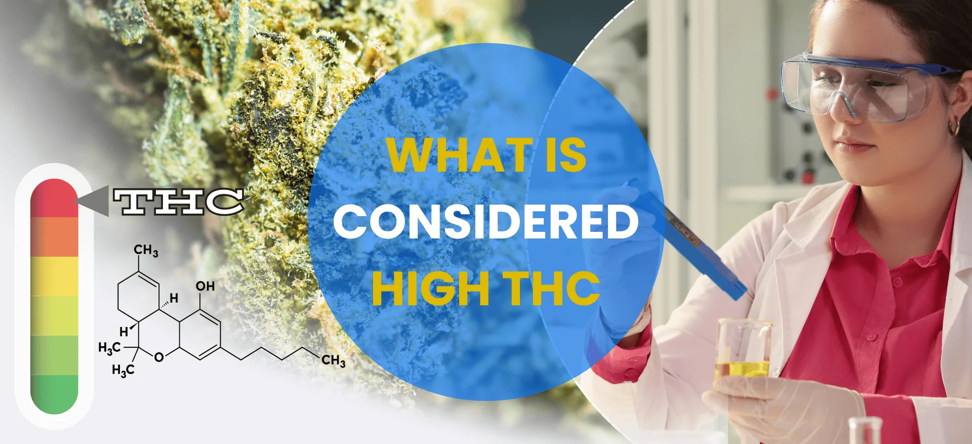 THC Percentage Chart: How Much THC is Considered to be High