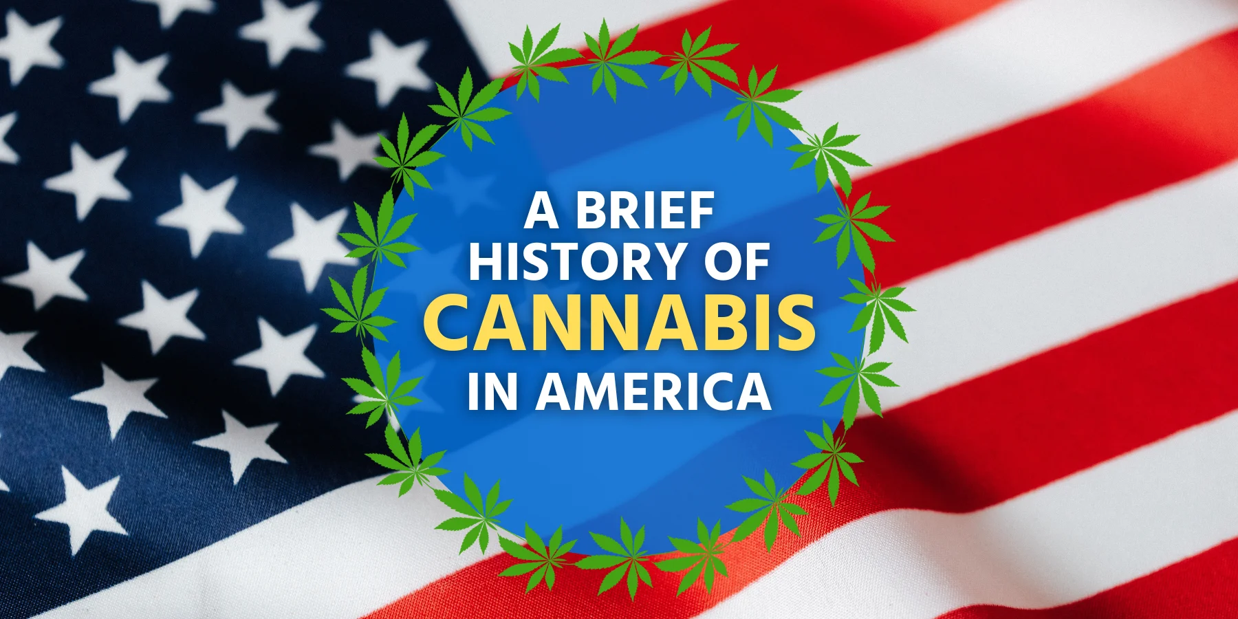 A Brief History of Cannabis in America