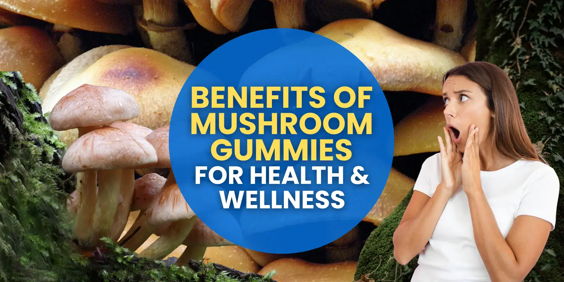 Benefits of Mushroom Gummies for Health & Wellness