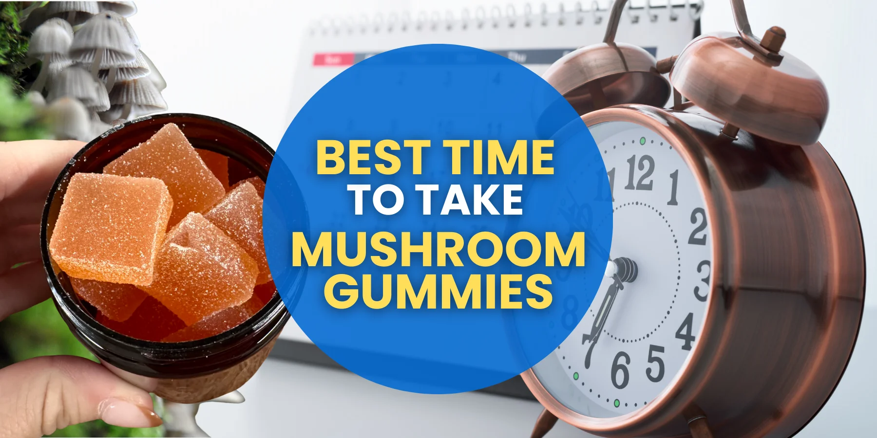 Best Time to Take Mushroom Gummies: Unlocking Maximum Benefits