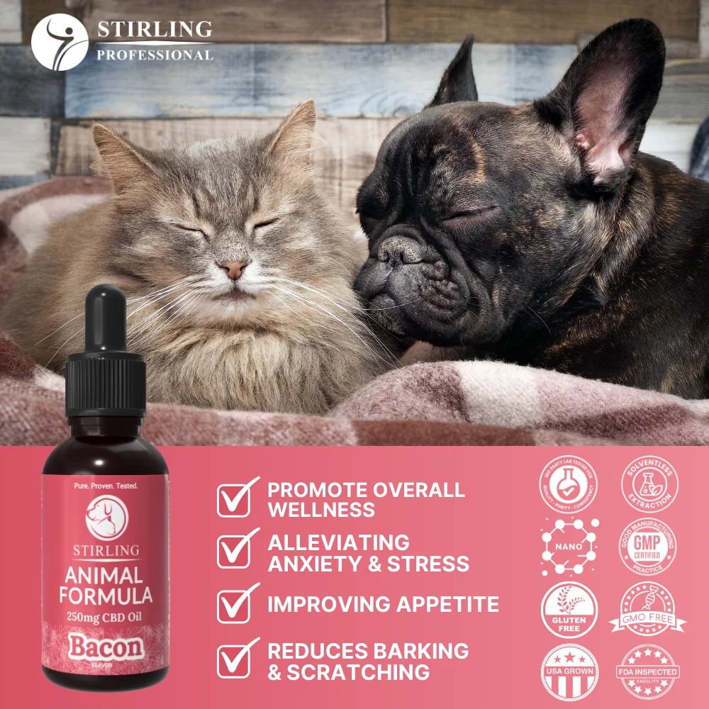 CBD Oil for Dogs - Image 3
