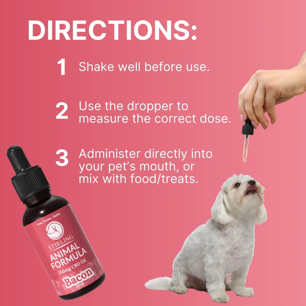CBD Oil for Dogs - Image 5