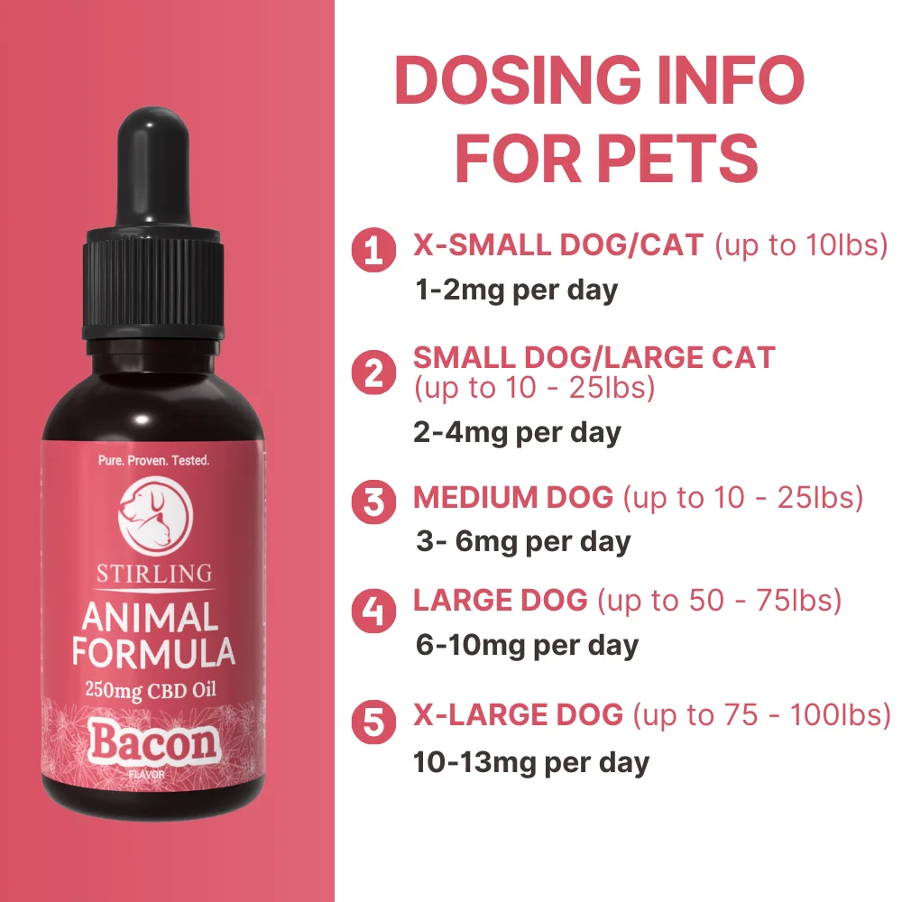 CBD Oil for Dogs - Image 4