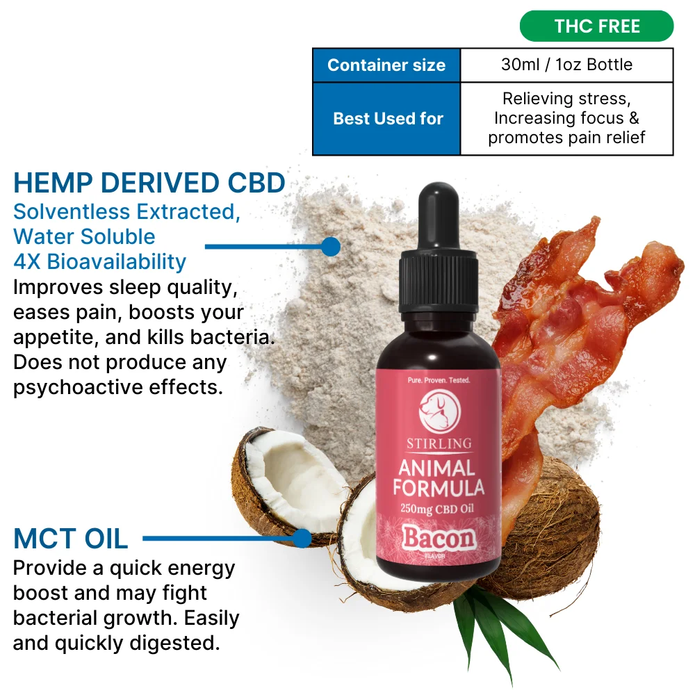CBD Oil for Dogs - Image 2