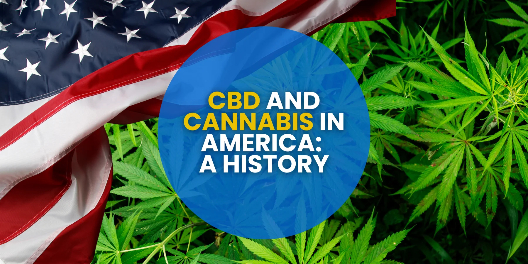 CBD and cannabis in America: a history