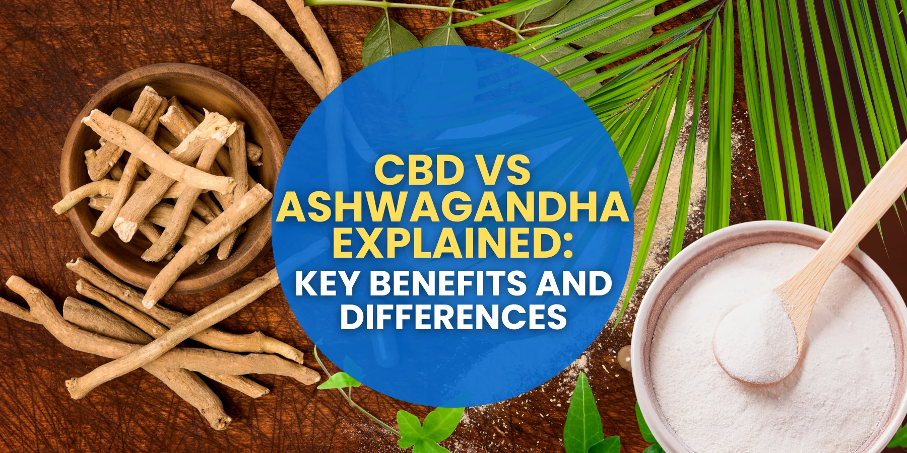 CBD vs Ashwagandha Explained: Key Benefits and Differences