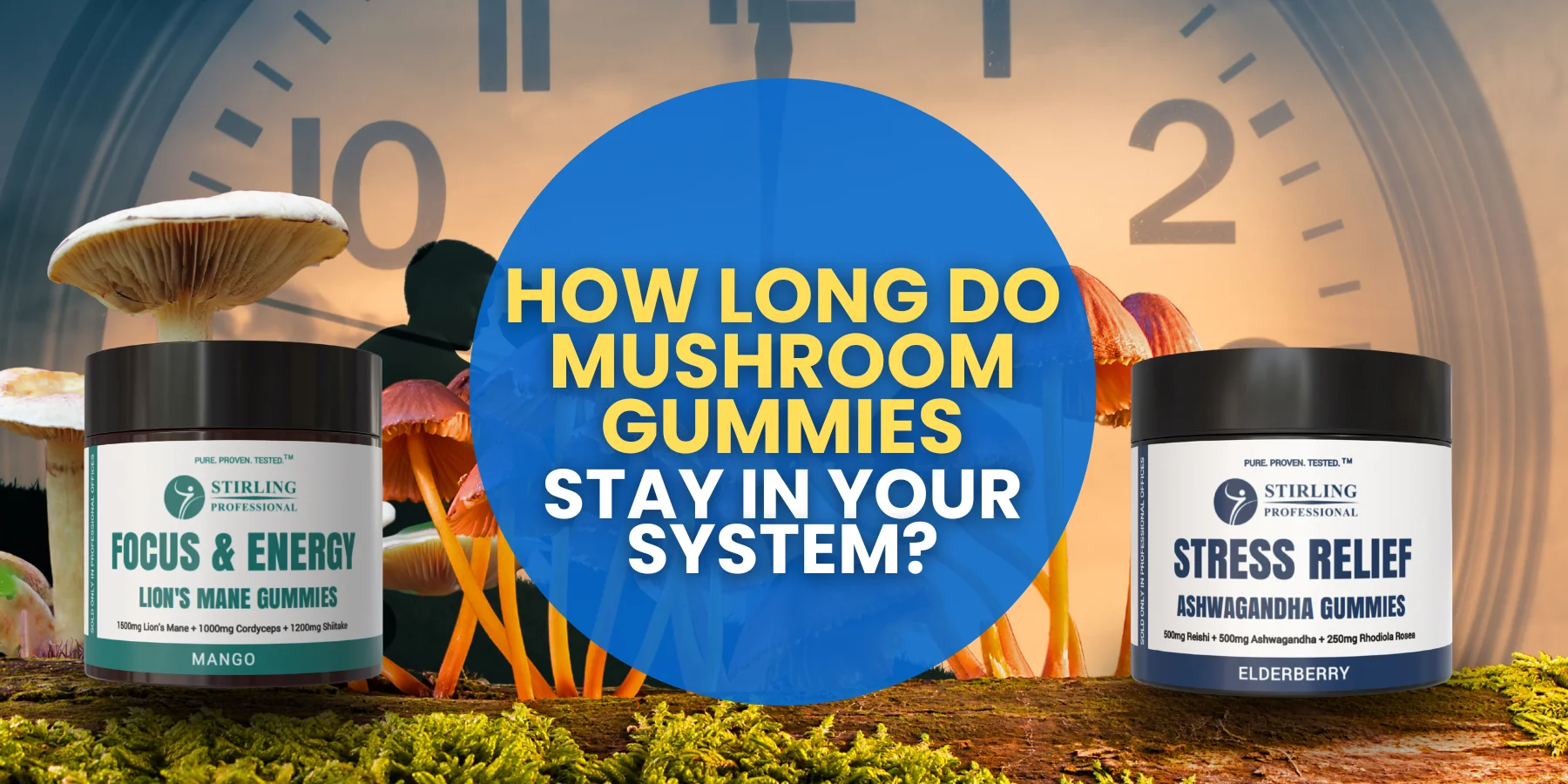 Understanding How Long Mushroom Gummies Stay in Your System