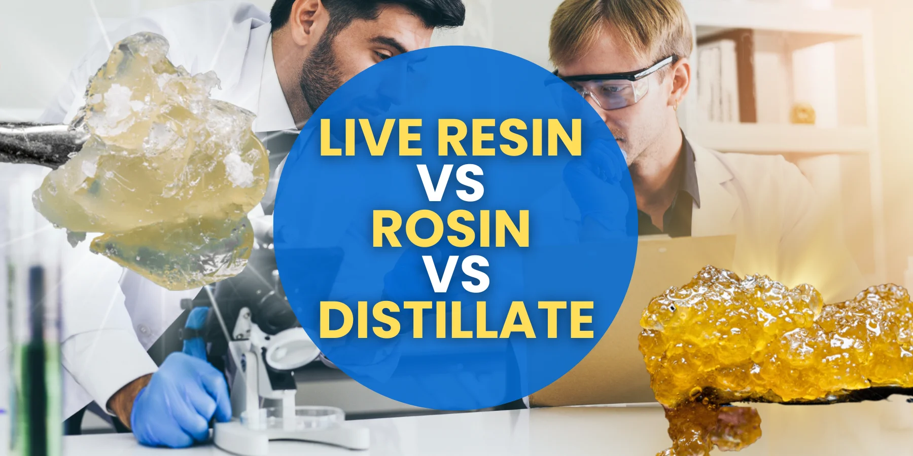 Live Resin vs Rosin vs Distillate: Which One’s Right for You?