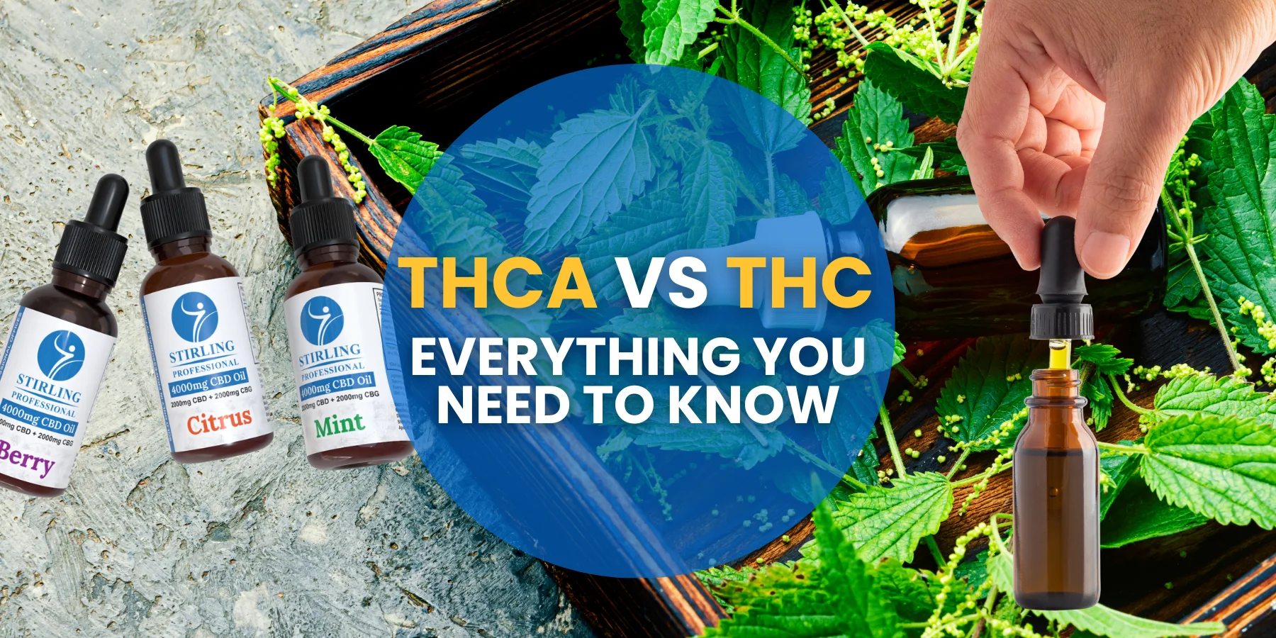 THCA vs THC: Everything You Need to Know
