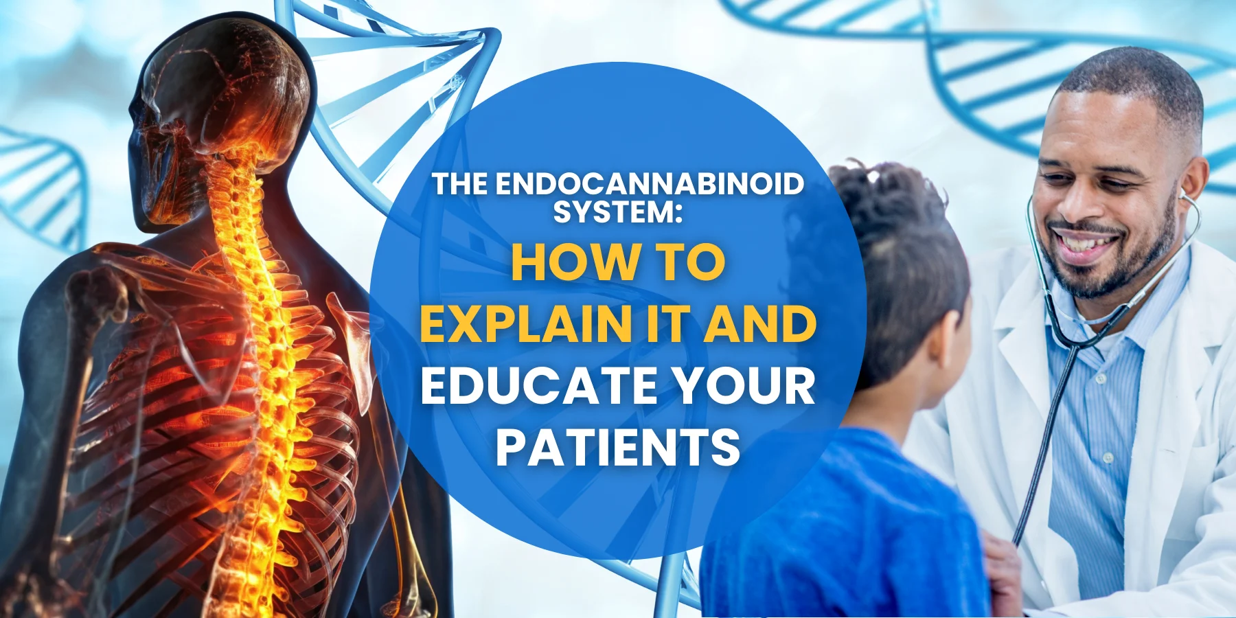 The Endocannabinoid System: How to Explain It and Educate Your Patients