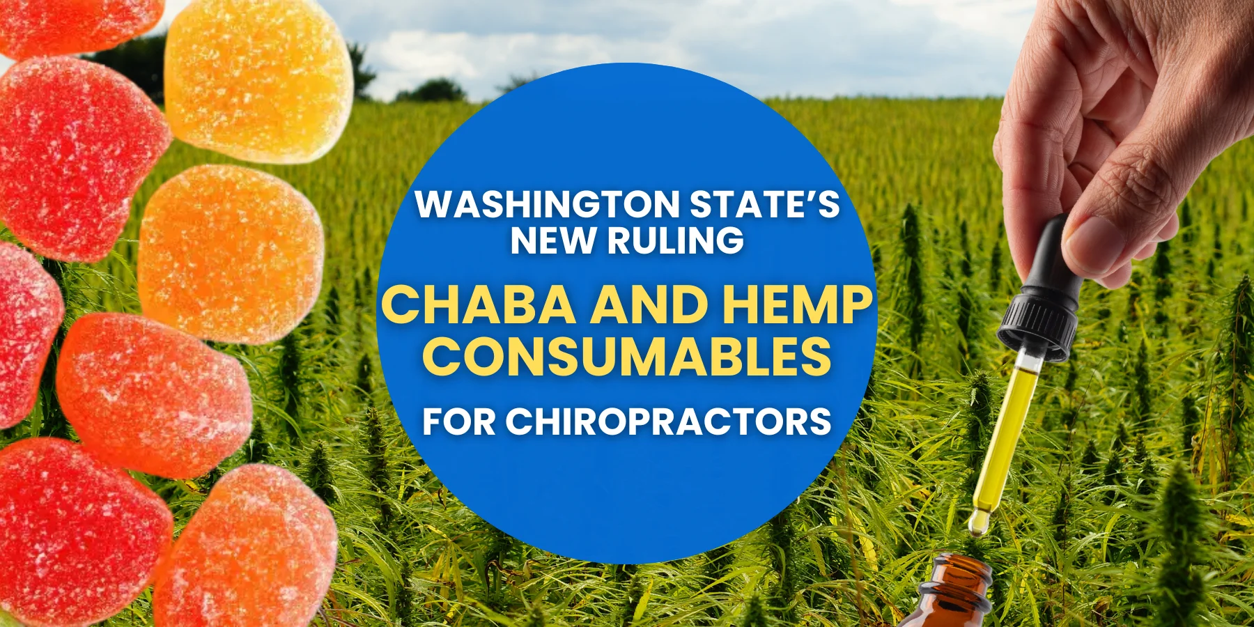 Washington State’s New Ruling: CHABA and Hemp Consumables for Chiropractors