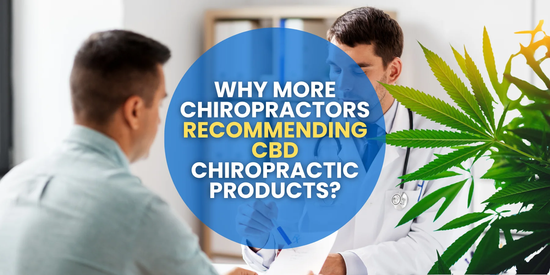 Why More Chiropractors Recommending CBD Chiropractic Products?