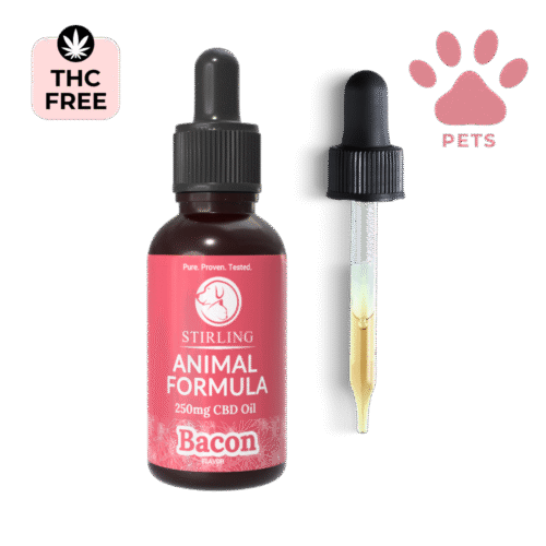 CBD Oil for Dogs