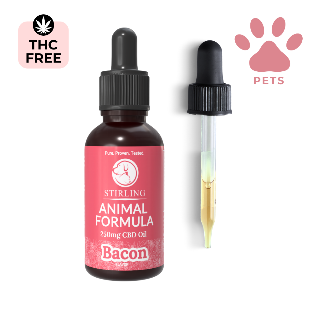 CBD Oil for Dogs
