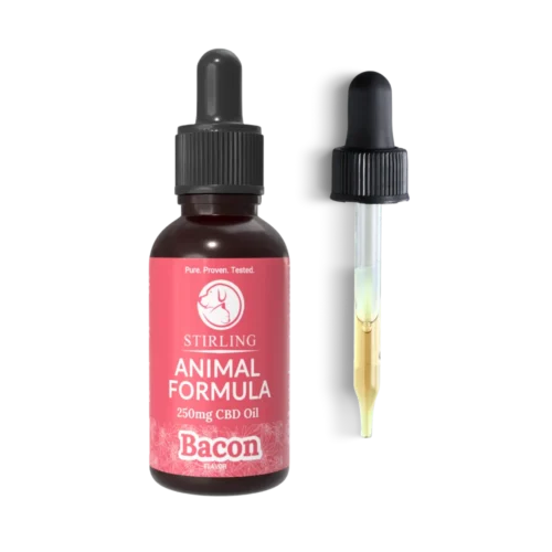 CBD Oil for Dogs